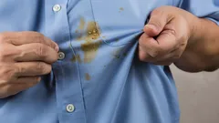 Hoe snel vetvlekken uit kleding verwijderen zonder wassen: eenvoudige en goedkope methoden