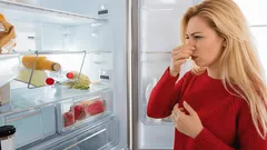 Geur in de koelkast? Goedkope manier om snel de geur te verwijderen zonder chemicaliën