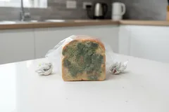 Schimmel op brood in plastic zak op aanrecht in moderne keuken.